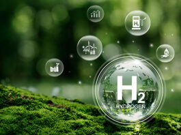 Eletrobras e Suzano Se Unem para Desenvolver Mercado de Hidrogênio Verde e Combustíveis Sintéticos
