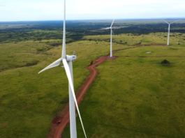 Eletrobras inicia operação dos primeiros aerogeradores do Parque Eólico Coxilha Negra