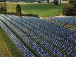 Parceria Solar de Impacto - RZK Energia e Sungrow Se Unem para Expandir a Energia Renovável