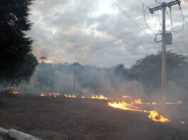 Cemig Enfrenta Crescente Desafio - Queimadas Triplicam Ocorrências e Deixam Quase 160 Mil Consumidores sem Energia em Minas Gerais