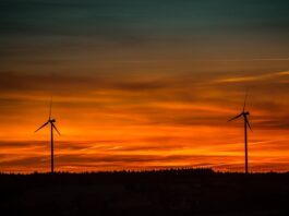 Eletrobras Expande Operação do Parque Eólico Coxilha Negra e Impulsiona Energia Limpa no Rio Grande do Sul