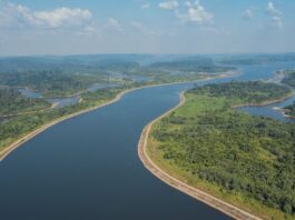 Norte Energia Investe R$ 504 Milhões em Sustentabilidade e Destaca Alta na Geração de Energia Renovável em Belo Monte