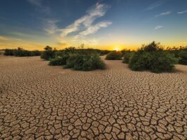 ALMG Lança Edital para Prêmio de Incentivo à Inovação Focado na Crise Climática