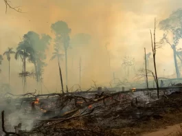 Aumento de Queimadas Desafia o Setor Elétrico - Climatempo Alerta para Necessidade de Tecnologias Avançadas de Monitoramento