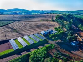 BRF Avança na Sustentabilidade - 57% da Produção de Aves Já Utiliza Energia Solar e Economiza Até 95% nos Custos de Energia