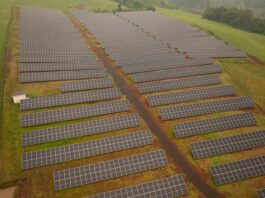 Celesc Inaugura Maior Usina Fotovoltaica de Santa Catarina em São José do Cedro