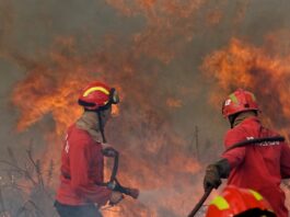 Incêndios e seca no Brasil - Soluções tecnológicas são cruciais no combate ao fogo