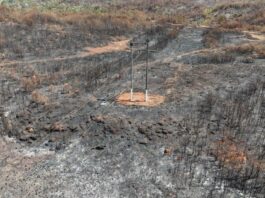 Incêndios em Minas Gerais levam a recorde de interrupções de energia e afetam mais de 700 mil clientes da Cemig em 2024