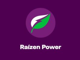 Raízen Power e Baianão Revolucionam o Mercado com Novo Contrato de Energia Renovável