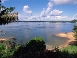 BNDES Destina R$ 20,3 Milhões para Recuperação Ecológica na Bacia do Xingu