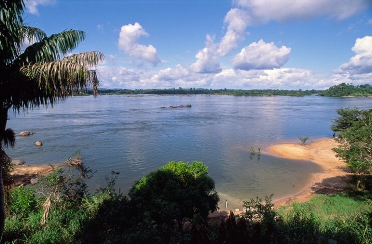 BNDES Destina R$ 20,3 Milhões para Recuperação Ecológica na Bacia do Xingu