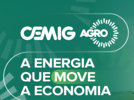 Cemig Agro define novas bases no interior de Minas e intensifica treinamento de eletricistas para atendimento rural