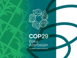 COP29 - Cientistas e Governo Defendem Licenciamento Ambiental Baseado em Mudanças Climáticas para Impulsionar Energia Verde no Brasil