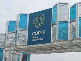 COP29 - Setor Privado e Governo Unem Forças para Descarbonização no Brasil