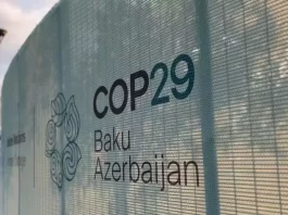 COP29 e IEA Convocam Diálogos para Alavancar a Transição Energética e Manter Meta de 1,5°C Viva