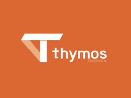 Consultoria Thymos Energia Assessorou 30% dos Contratos de Autoprodução em 2024