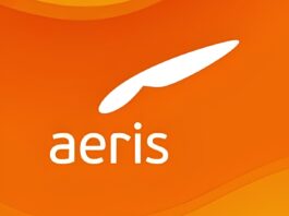 Aeris Energia em Crise - Renúncia de Executiva e Desafios Financeiros Bilionários