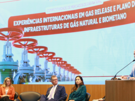 Gas Release - O plano que promete derrubar o preço do gás natural e impulsionar a indústria brasileira