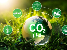 Brasil precisa democratizar e tornar mais confiável o mercado de carbono, alerta especialista