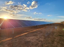 Elera Renováveis lidera modelo de economia circular com reciclagem de painéis solares no maior complexo fotovoltaico das Américas