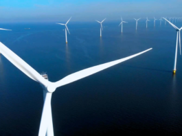 Risco Ecológico dos Parques Eólicos Offshore: Estudo Global Aponta Impactos à Biodiversidade Marinha