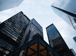 Sustentabilidade corporativa avança no Brasil, mas medir retorno financeiro ainda é desafio, aponta Amcham