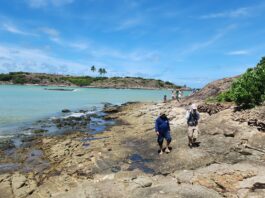 Bacia de Alagoas desponta como nova fronteira mineral do Brasil