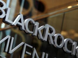 BlackRock ultrapassa 10% das ações preferenciais da Cemig e reforça posição estratégica no setor elétrico brasileiro