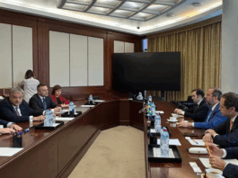 Brasil busca protagonismo global em energia nuclear e minerais estratégicos com reforço de parceria com estatais russas