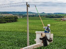 Copel acelera reta final do Paraná Trifásico e transforma rede elétrica rural com 22 mil km de novas linhas