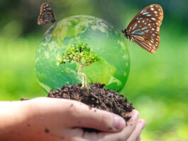 Empresas brasileiras podem liderar uma economia de US$ 10 trilhões ao incorporar biodiversidade às suas estratégias, aponta CEBDS