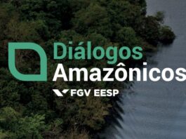 Energia, Petróleo e Gás na Amazônia: FGV debate desafios e oportunidades em webinar da série “Diálogos Amazônicos”