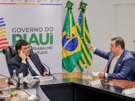 Especialista gaúcho propõe transformação verde no Piauí com plano estratégico de energia limpa e inovação
