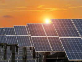 Estudo da Deloitte revela expansão histórica da energia solar e projeta crescimento estratégico para renováveis em 2025