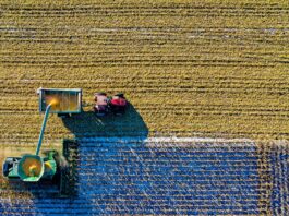 Indústria alimentícia aposta em motores elétricos para elevar eficiência, segurança e qualidade na produção
