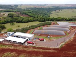 Paraná isenta ICMS para biogás, biometano e SAF e se posiciona como polo de energia limpa no Brasil