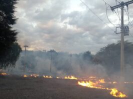 Queimadas deixam quase 1,5 milhão de clientes sem energia em Minas Gerais em 2024, alerta Cemig
