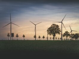 Reforma da Lei de Concessões avança no Congresso e promete destravar investimentos em infraestrutura no Brasil
