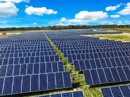 Appian e Omnigen entregam novos parques solares em Minas Gerais e reforçam aposta na energia limpa