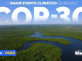 Brasil lança Coalizão Global e Comitê Nacional para impulsionar transição energética rumo à COP30