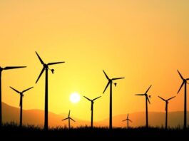 Busca por certificações de energia renovável mais do que dobra no Brasil e projeta crescimento de 30% em 2025