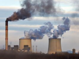 Estudo global revela que fundos de investimento ainda priorizam combustíveis fósseis em detrimento da energia limpa