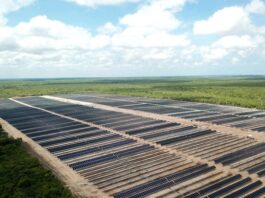 Financiamentos do Banco do Nordeste evitam emissão de 18 milhões de toneladas de CO₂ com investimentos em energia renovável