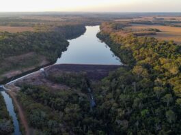 Nova Lei de Licenciamento Ambiental pode destravar investimentos em PCHs e CGHs e fortalecer matriz elétrica limpa no Brasil