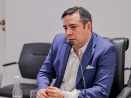 RS tem potencial para se tornar hub internacional de hidrogênio verde, diz especialista internacional