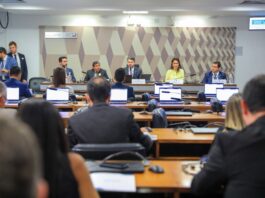 Corte orçamentário ameaça regulação do setor elétrico, alerta ANEEL em audiência no Senado