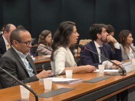 Crise orçamentária ameaça a atuação da ANEEL e compromete a regulação do setor elétrico, alerta diretora em audiência na Câmara