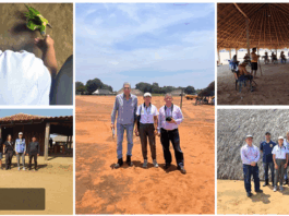 ANEEL fiscaliza serviços de energia em comunidades indígenas do Xingu e reforça monitoramento do Luz para Todos na Amazônia Legal