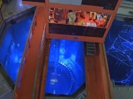 ABDAN é convidada a liderar grupo de financiamento nuclear do BRICS e projeta Brasil como referência global em energia limpa de base