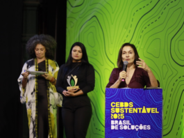CEBDS avalia legado da COP30 e aponta prioridades do setor empresarial para transformar ambição climática em resultados até 2026